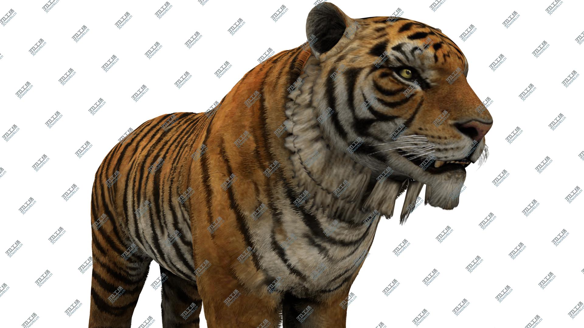 images/goods_img/202104093/3D Tiger model/2.jpg